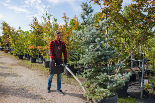 Soil Testing and Treatment in Onsted, MI